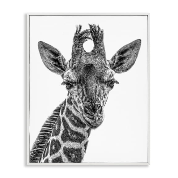 Stupell Industries Modern Giraffe Gazing Wildlife Portrait White Framed Giclee Art, 11 x 14, by Kelley Parker