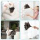 thumbnail image 4 of 13inch Ostrich Feather Duster Durable Dust Collecting Cleaning Tool In Wool Shop, 4 of 4