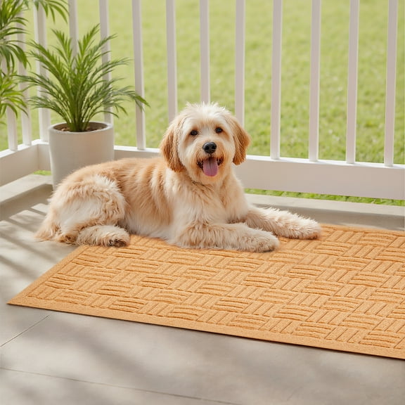 KFFKFF Door Mat, 29.53 x 17.72 Inch, Outdoor Entrance Mat with Non-slip Rubber Backing, Dirt-Trapping & Absorbent, Mat for Entryway, Patio, Porch