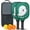 Black-2, variant on Pickleball Paddles Set Of 2, Fiberglass Surface, Horrible Theme, 4 Balls & Bag