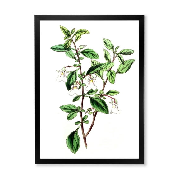 Designart 'Ancient Green Leaves Plants VII' Traditional Framed Art Print