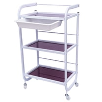 Wildnix Durable Salon Trolley with Three Spacious Layers, Silent 360° Swivel Wheels, Sturdy Iron Frame, and Space-Saving Design for Work and Home