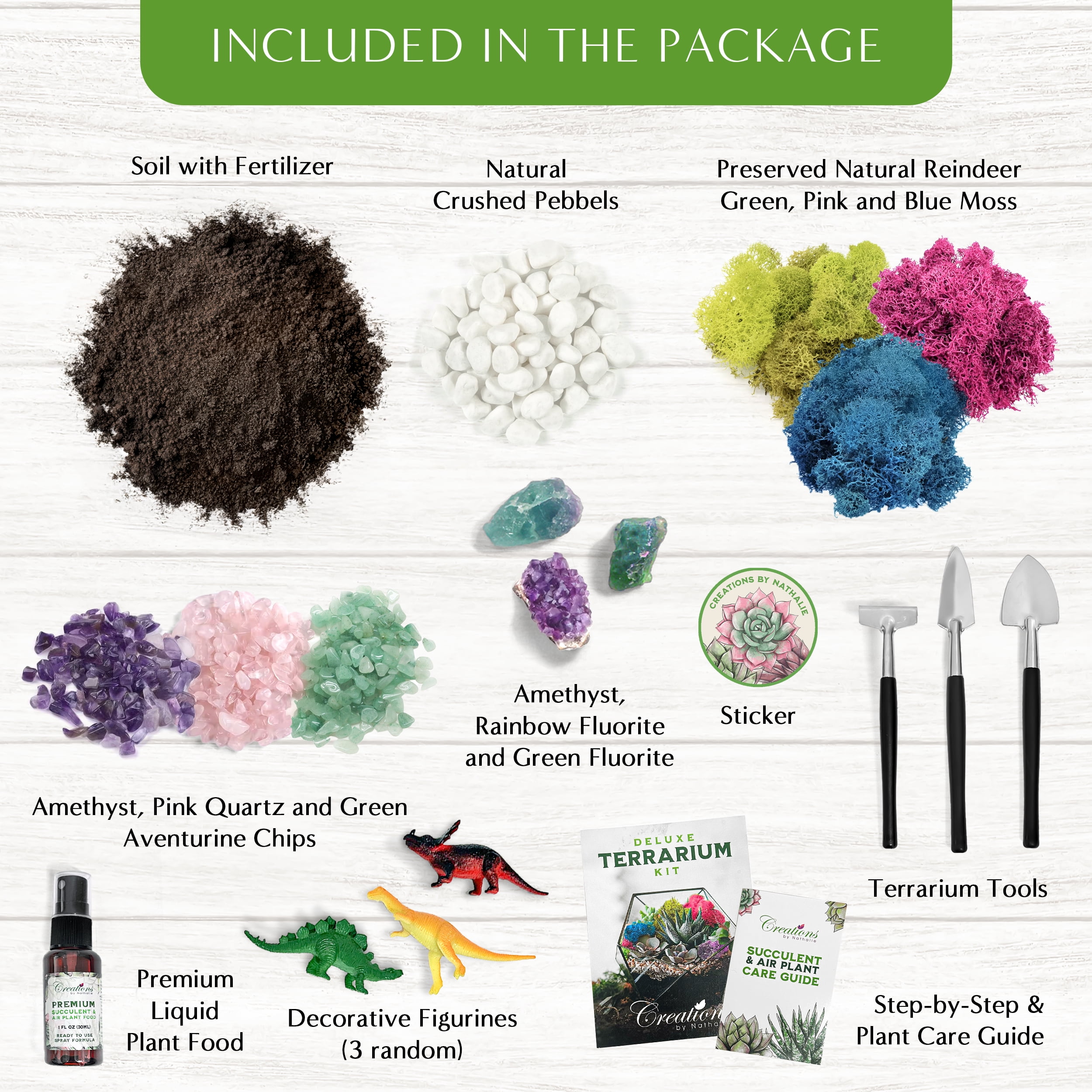 Creations by Nathalie DIY Terrarium Kit - For Succulents, Cacti & More