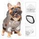 thumbnail image 3 of Balery Chicken Sudadera con Capucha para Perros Pequeños – Ropa para Mascotas, Disfraz para Perros y Gatos, Ideal para Fiestas y Cosplay-Large, 3 of 7