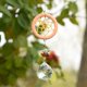 thumbnail image 3 of Atrapasueños de cristal y atrapasueños para ventana, colgante de arcoíris Fengshui con bola de araña, 3 of 5