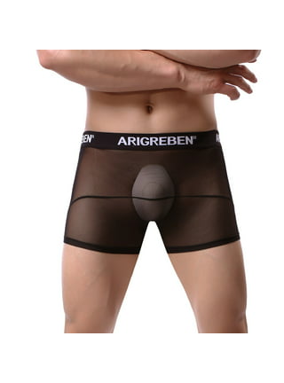 Men Underpant Low Rise Panties Ultra-Thin Lingerie Underwear See