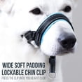 thumbnail image 3 of GoodBoy Dog Head Halter con correa de seguridad - Topes, 3 of 5