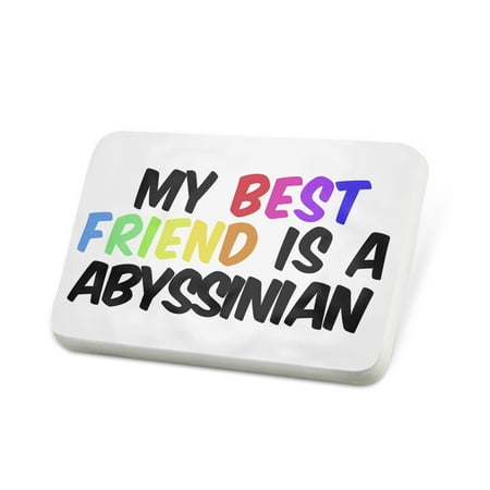 Porcelein Pin My best Friend a Abyssinian Cat from Egypt Lapel Badge –