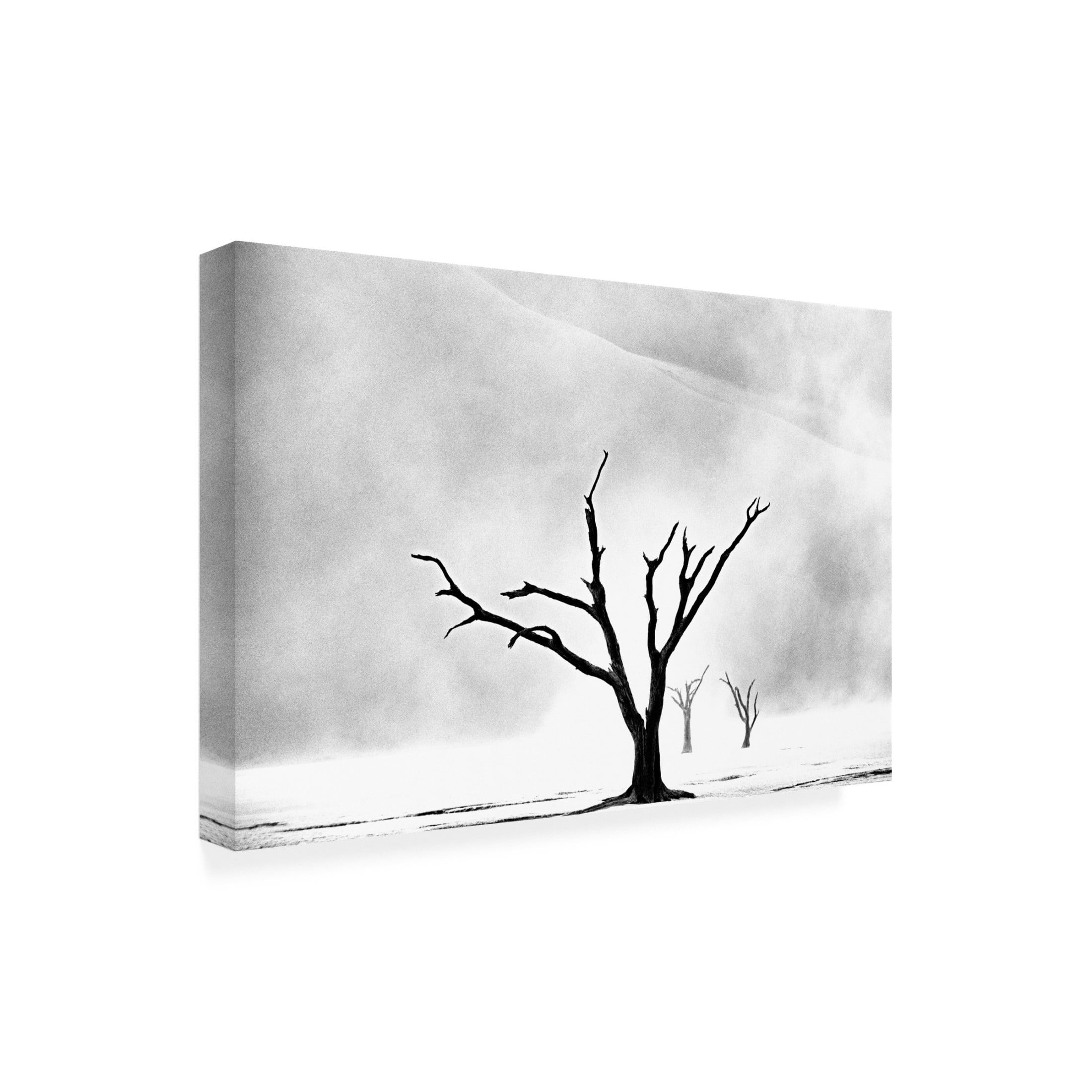 Trademark Fine Art Gina Buliga Namibia The Spirit Of Wilderness Canvas Wall Art