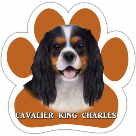 Cavalier Sticker - King Charles Cavalier, Tri Color Car Magnet With Unique Paw Shaped Design Measures 5.2 by 5.2 Inches Covered In UV Gloss For Weather Protection