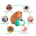 thumbnail image 3 of Pelota de golosinas interactiva para conejos, rueda y empuja, úsala con zanahoria cortada en cubitos, hierbas secas o frutas secas, pelota de juguete para bocadillos para conejos, 3 of 5