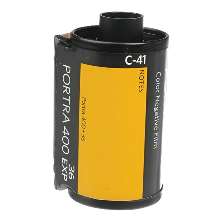 Kodak Portra Pro ISO 400 35mm Color Negative Film, 5 Rolls, Fine