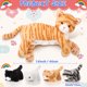 thumbnail image 2 of Animal de peluche Skylety, gato cariñoso con gatitos de peluche de 40 cm, 2 of 7