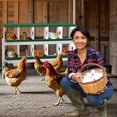 thumbnail image 3 of Qinaqin 10- cm de Alturaole Verde Chicken Nesting Caja con Soporte Legs Metálico Construction Perch & Roll-Away Feature Versatile Anchoall Mount para Chickens, 3 of 7