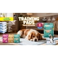 thumbnail image 3 of DOG-O-CHEW. Tapete Entrenador para Perros, 3 of 3
