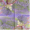 thumbnail image 3 of Keep Unique Lavender Floral Decorative Decoupage Party Paper Napkins, Assorted Color, 20/Pack, 3 of 5