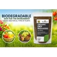 thumbnail image 6 of ⭐ Gardenera Labs Organic Molasses for Plants - Horticultural Dry Molasses - Ideal Plant Food for Traditional & Hydroponic Gardening, for Indoor & Outdoor Plants - (8 OZ), 6 of 6