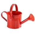 thumbnail image 1 of Garden Small Water Spraying Pot Flower Kettle Metal Watering Can Sprinkled, 1 of 6