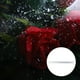 thumbnail image 4 of rollo de celofán transparente para envolver regalos, ramos de flores, cestas, artículos de artesanía y manualidades., 4 of 7