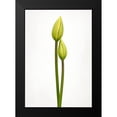 thumbnail image 2 of Gronkjar, Lotte 14x18 Black Modern Framed Museum Art Print Titled - Tulip Time, 2 of 5