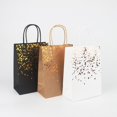 thumbnail image 3 of Gift Bags 12Pcs/Set Gift Bags Handles Recyclable Lightweight Single-sided Hot Stamping Present Pouch for Home, 3 of 6