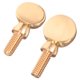 thumbnail image 5 of BESTYASH 2Ud Tornillos De Cuello Para Saxofón De Cobre Dorado Resistente Y Ligero Para Repuesto, 5 of 8