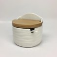 thumbnail image 3 of 1 Set Ceramic Seasoning Jar Dispenser Container Containers with Lids Metal Serving Spoons Food Canister Containers Jar Seasoning Bottle Box Seasoning Container Condiment Container, 3 of 5