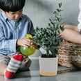 thumbnail image 3 of QCQHDU Plant Pots Set of 2 Pack 5 inch,Planters for Indoor Plants with Drainage Holes and Removable Base,Saucer Modern Decorative for Outdoor Garden Planters(Light Grey, 5 inch), 3 of 6