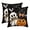 A, variant on Sm:)e Boo Ghost Pumpkin Lantern Bat Cat Halloween Pillow Covers 18x18 Inch Set of 2, Cushion Covers for Sofa Home Decor