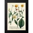 thumbnail image 2 of Weinmann 13x18 Black Modern Framed Museum Art Print Titled - Saffron Garden II, 2 of 5