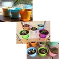 thumbnail image 3 of HLONK 8-Pack 4” Plastic Flower Plant Pots Thickened Seedlings Nursery Pots  Colorful Flower Plant Container Seed Starting Pots with Pallet (Random Color), 3 of 7