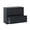 Black, variant on Dtwnek 2 Drawer Lateral File Cabinet with Lock, Lockable File Cabinet for Home Office, Locking Metal File Cabinet for Letter/A4/F4 Size, Black