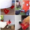 thumbnail image 4 of Bebedero automático para aves de corral, 6 PCS Bebedero para aves de corral, Bebedero de agua para pollos, Bebederos automáticos Bebederos de plástico Patios rojos Pato Pájaro Codorniz Paloma Gallina Cuenco de alimentación de agua H42 esquí esquí Gafas de esquí, 4 of 5