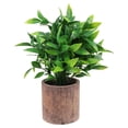 thumbnail image 1 of GOOHOCHY Bonsái artificial realista para sala de estar, oficina, simulación de plantas verdes en macetas, 1 of 8