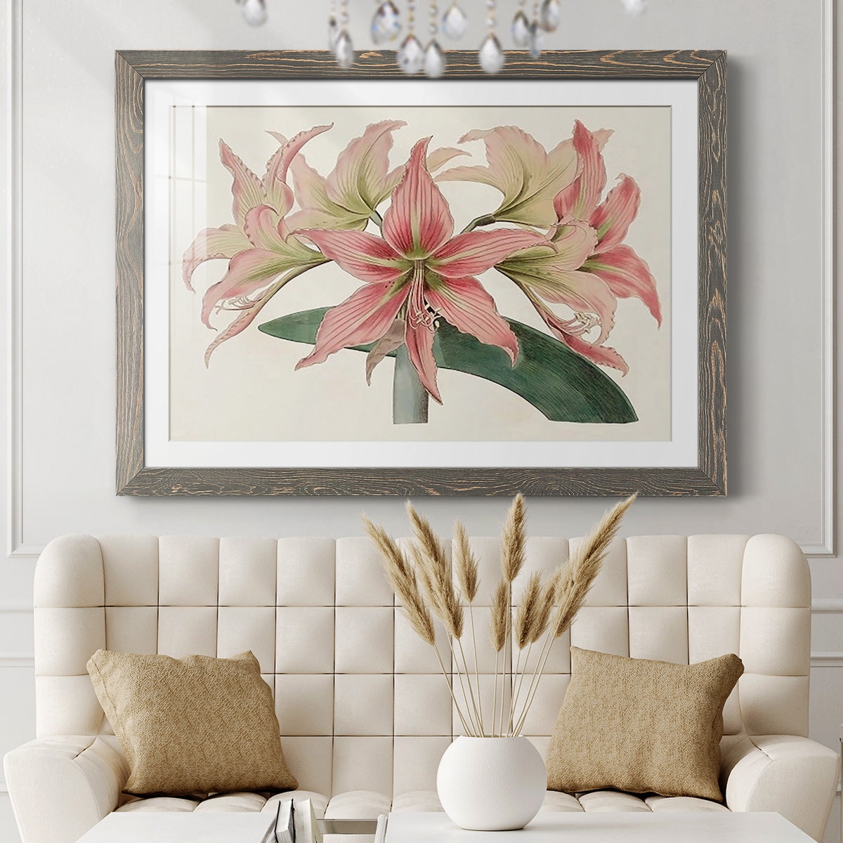 Amaryllis Varietals I-Premium Framed Print - Ready to Hang