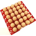 thumbnail image 4 of 72 RITE FARM PRODUCTS 30 EGG POLY CHICKEN TRAYS SHIPPING CARTON POULTRY FLAT, 4 of 4