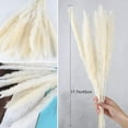 thumbnail image 2 of 30PCS Dried Pampas Grass Plumes Decoration,Natural Dried Lagurus Ovatus,17 Inch Tall Natural Dried Flowers,Faux Reed Flower Stems Bunch for Flower Arrangements Wedding Home Decor, 2 of 7