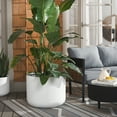 thumbnail image 2 of SAFAVIEH Lucca 23" x 23" x 18" Cylinder White Ficonstone Solid Plant Pot, 2 of 7