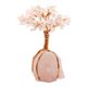 thumbnail image 5 of Árbol del dinero Feng Shui Bonsái Árbol de la suerte Adornos de decoración espiritual para el hogar Rosa, 5 of 9