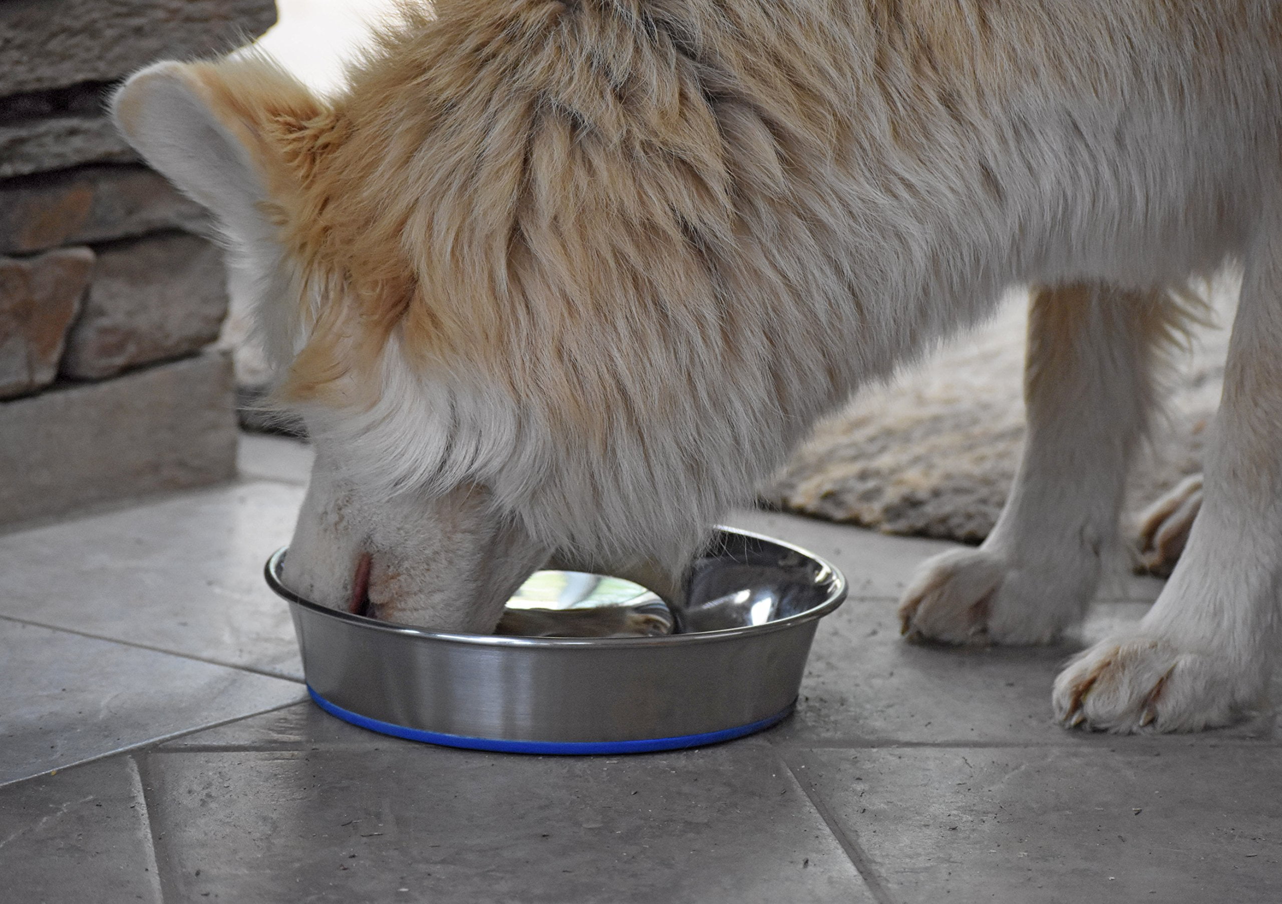 OurPets DuraPet Slow Feed Premium Stainless Steel Dog Bowl