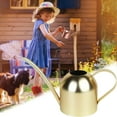 thumbnail image 1 of Visland Watering Can Stainless Steel Watering Pot Sprinkling Pot for Indoor Outdoor House Planting, Gardening, 1 of 6