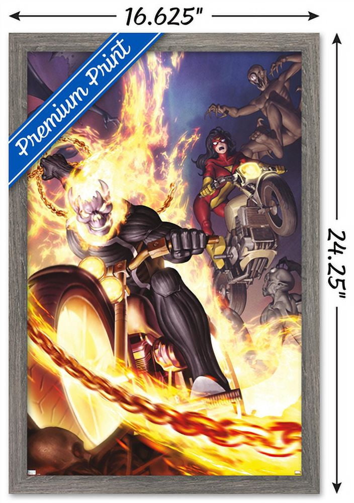 Marvel Comics - Spider Woman - Ghost Rider #6 Wall Poster, 14.725" x 22.375", Framed