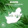 thumbnail image 5 of Aceite Esencial de Árbol de Té Handcraft Blends 30 ml Puro, 5 of 5