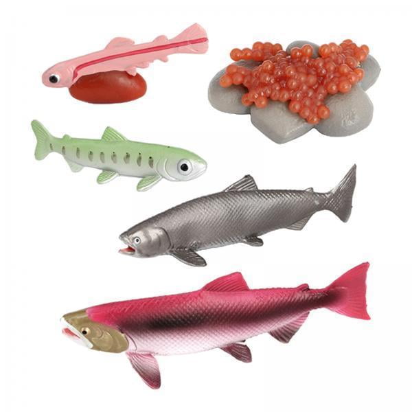 2x Plástico Realistas de Modelo Cisne Salmon Juguete Educativos Ciencia Juguetes de Enseñanza Hugo Juego de crecimiento de tortugas marinas