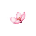 thumbnail image 6 of Vivid Cherry Blossom Stickers, Waterproof Cherry Blossom Sticker for Water Bottle Laptop Phone Cases Planner Skateboard Luggage Helmet Party Favor Decor, Ideal for Adults Teens Teacher Rewards, 6 of 9