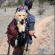 thumbnail image 4 of Dispensador de bolsas de basura para caca de perro de 2 piezas con linterna LED y 2 rollos de bolsas de basura para caca de perro bolsas de basura para perros a prueba de fugas Ormromra LRWJ120, 4 of 8
