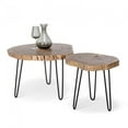 thumbnail image 4 of Table d'Appoint pour Pieds de Souche d'Arbre, 4 of 4
