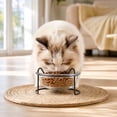 thumbnail image 4 of Qholemyo Slanted Glass Pet Bowl Pet Food Bowl Non Knock Feeding Bowl Neck Protection For Cats And Teddy Dogs, 4 of 6