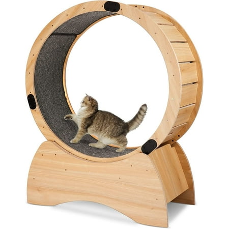 Holaki 35.4" Cat Wheel – Cat Running Wheel Cat Tree with Carpet Runway Cat Exercise Wheel, Natural