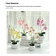 thumbnail image 5 of Tela de cerámica Planta artificial Bewildely Reemplazo vivo Decoración Blanco, 5 of 6